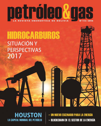 Revista Petróleo &amp; Gas No. 113