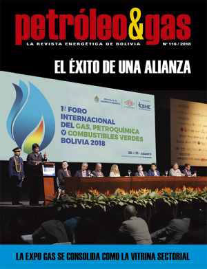 Revista Petróleo &amp; Gas No. 116