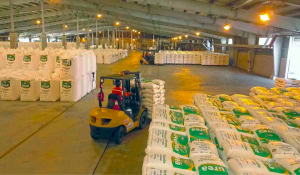 La producci&oacute;n de urea boliviana subi&oacute; en 51% el 2024 y marca r&eacute;cord hist&oacute;rico