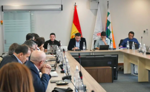 El precio del combustible importado por privados podr&aacute; subir o bajar, de acuerdo a un &ldquo;referente&rdquo; fijado por el Ejecutivo