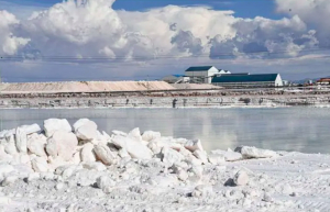 Primera planta industrial producir&aacute; carbonato de litio grado bater&iacute;a con una pureza superior a un 99%