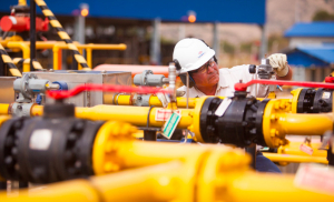 Prev&eacute;n ingreso de m&aacute;s de $us 10 millones al mes por exportaci&oacute;n de gas argentino a Brasil v&iacute;a ductos bolivianos