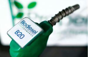 El Gobierno aclara que el acceso a biotecnolog&iacute;a se limitar&aacute; a la producci&oacute;n de biocombustibles