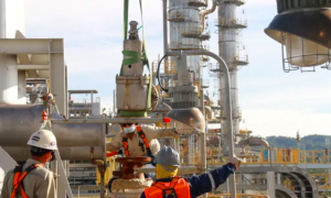 Proyectan construir una planta de urea &ldquo;exclusiva&rdquo; para el mercado de Brasil