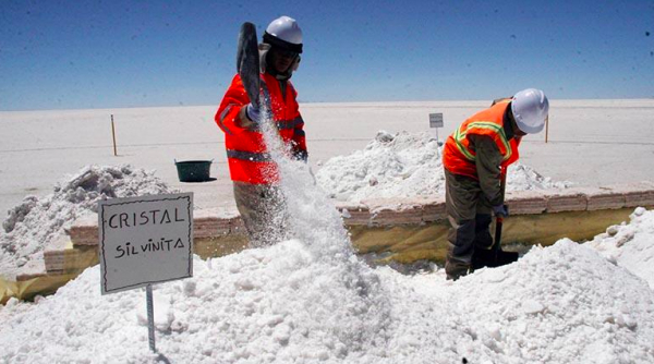 YLB prioriza negociaciones con cuatro empresas internacionales para la extracción de litio