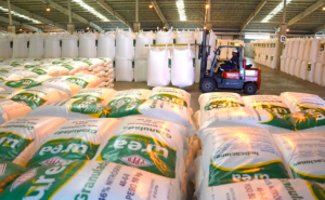 Planta de amoniaco y urea cerrar&aacute; el a&ntilde;o con una producci&oacute;n de 530.000 toneladas, seg&uacute;n YPFB